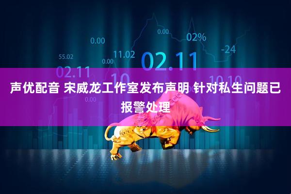 声优配音 宋威龙工作室发布声明 针对私生问题已报警处理