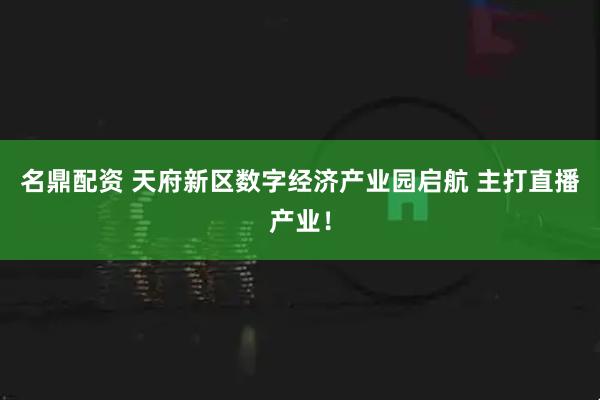名鼎配资 天府新区数字经济产业园启航 主打直播产业！