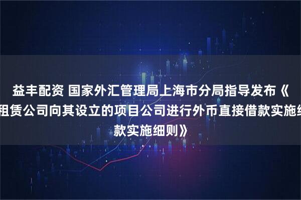 益丰配资 国家外汇管理局上海市分局指导发布《金融租赁公司向其设立的项目公司进行外币直接借款实施细则》