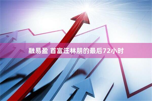 融易盈 首富汪林朋的最后72小时