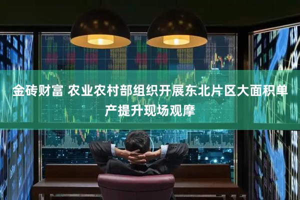 金砖财富 农业农村部组织开展东北片区大面积单产提升现场观摩