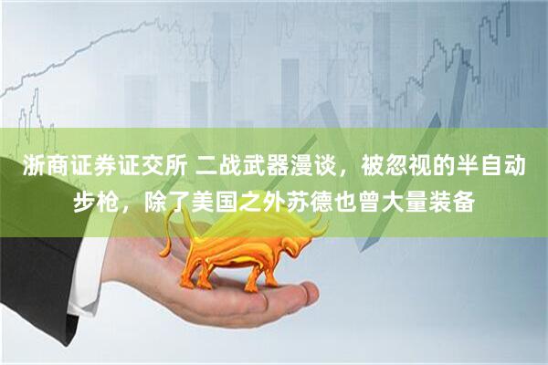 浙商证券证交所 二战武器漫谈，被忽视的半自动步枪，除了美国之外苏德也曾大量装备