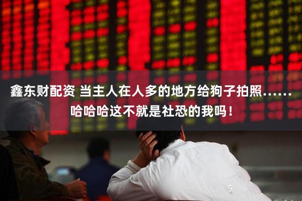 鑫东财配资 当主人在人多的地方给狗子拍照……哈哈哈这不就是社恐的我吗!