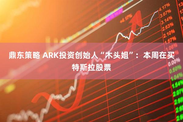 鼎东策略 ARK投资创始人“木头姐”：本周在买特斯拉股票